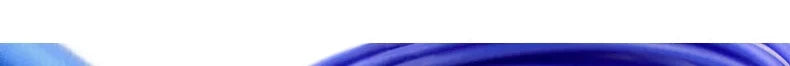 1PCS Crossfit Speed Jump Rope Professional Skipping Rope For MMA Boxing Fitness Skip Workout Training With Carrying Bag