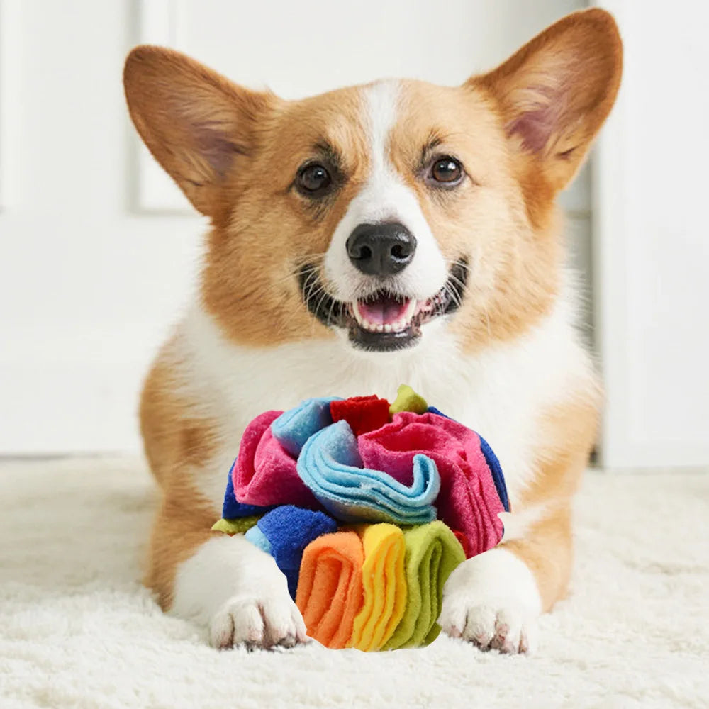 Pet Sniffing Training Mat Dog Intelligence Training Food Storage Blanket Bite Resistant Slow Feeding Mat Treats Pad Pet Toy